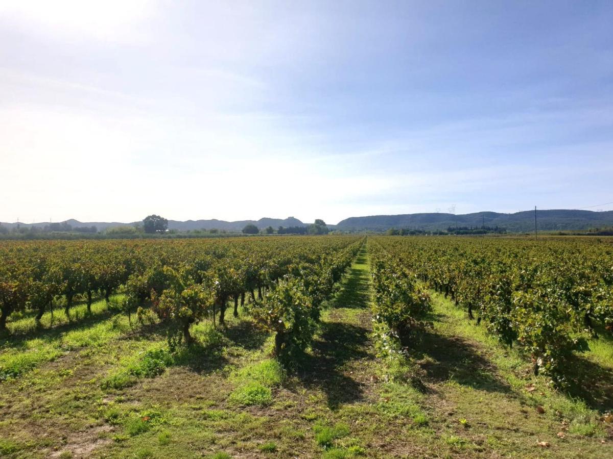 Domaine De Sevanes Saint-Paul-les-Fonts Luaran gambar