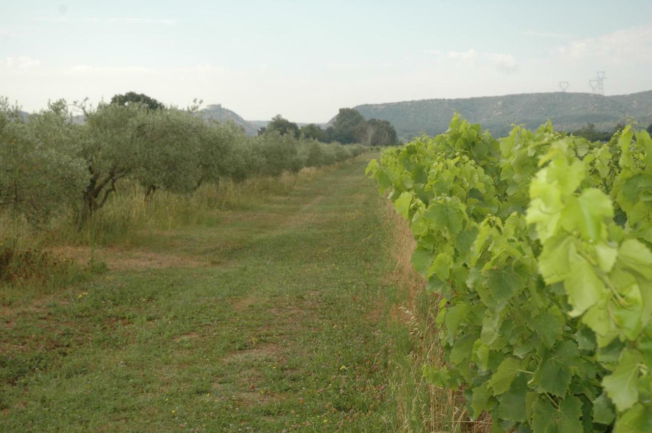 Domaine De Sevanes Saint-Paul-les-Fonts Luaran gambar